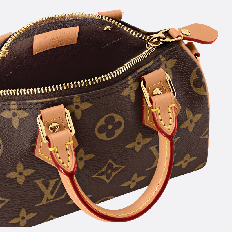 LV Speedy Nano Bag